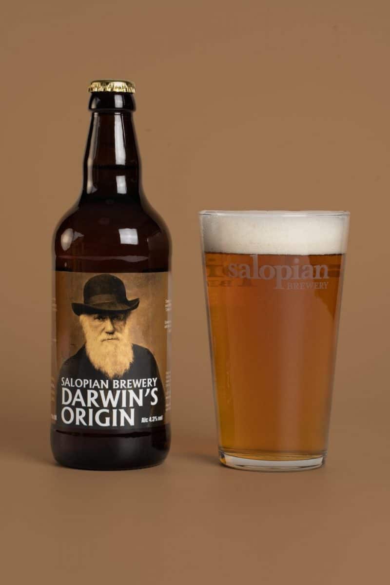 Darwins Origin 4.3% 500ml x 12 pack - Image 2